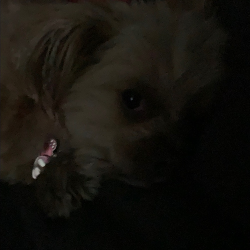 Meet your Posher, Tammara